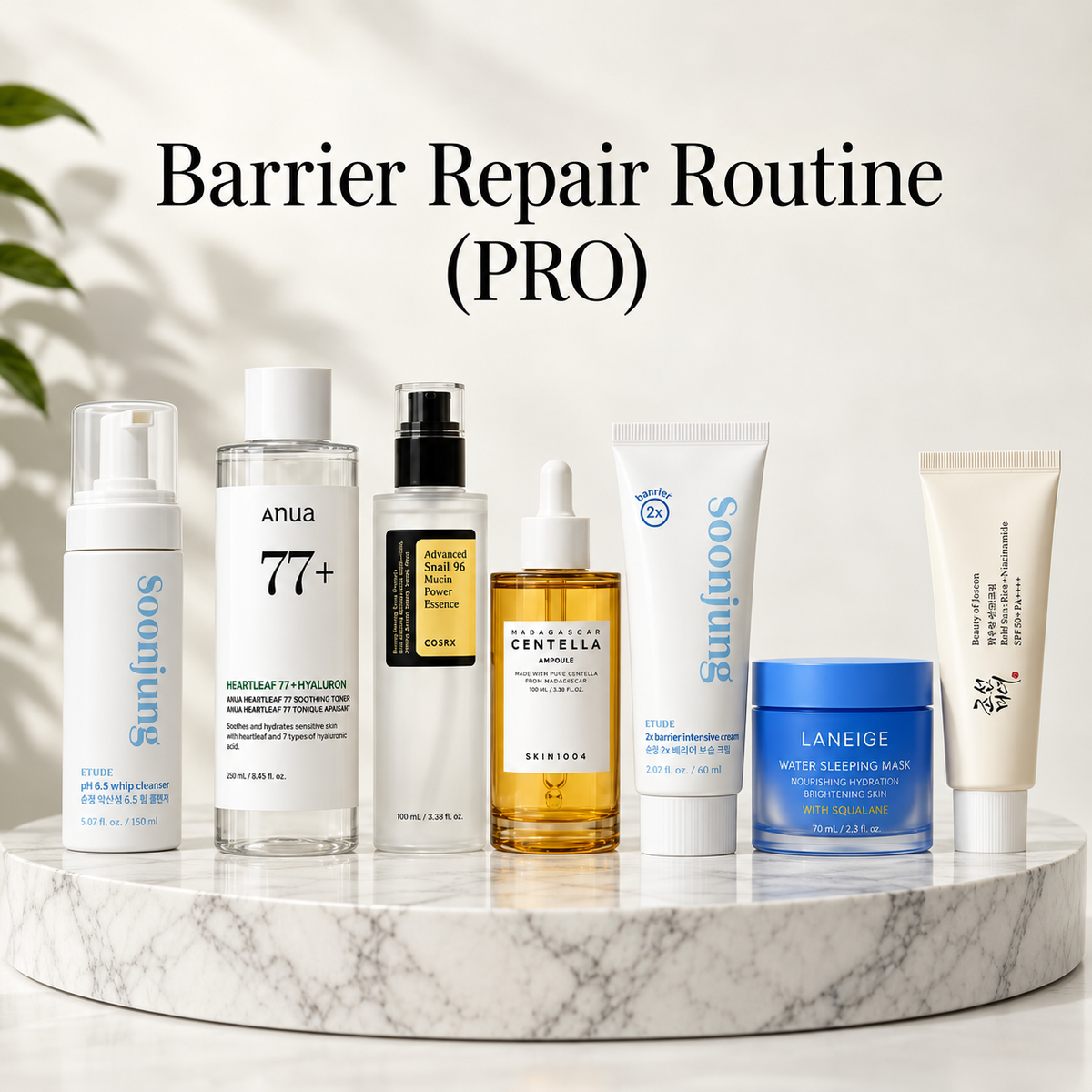 Barrier Repair Routine (PRO)