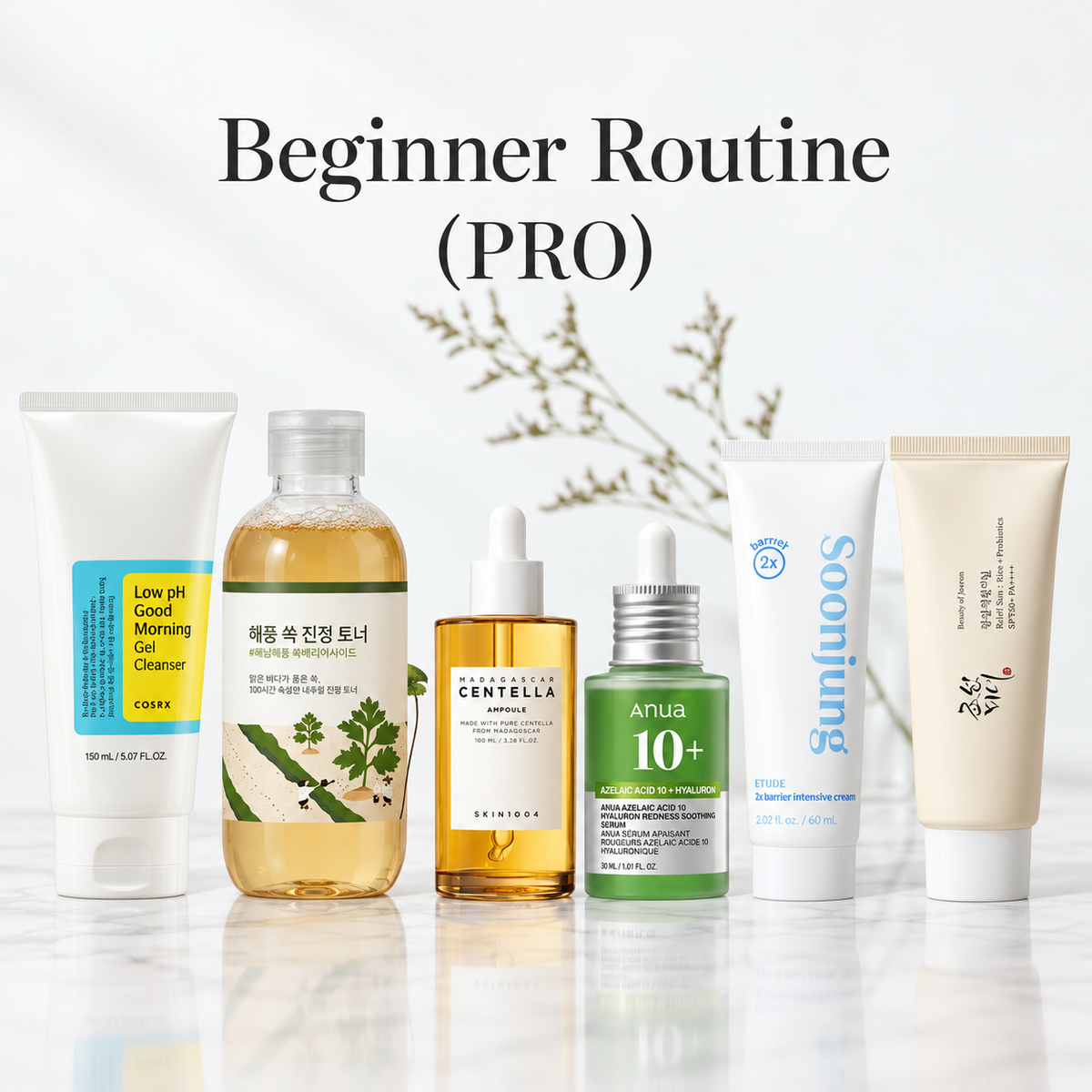 Beginner Routine (PRO)