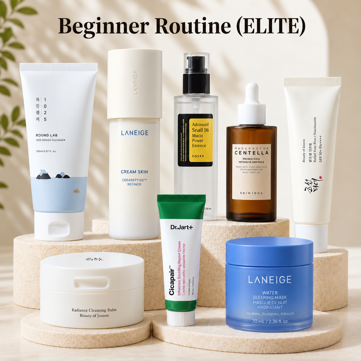 Beginner Routine (ELITE)